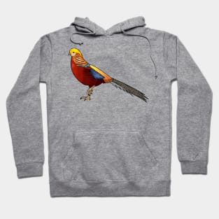 Golden pheasant bird cartoon illustration Hoodie